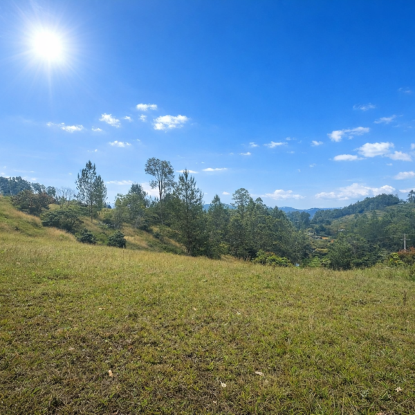 MPR - EL RETIRO 7.385M2