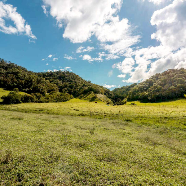 MPR - LA CEJA 1.383M2