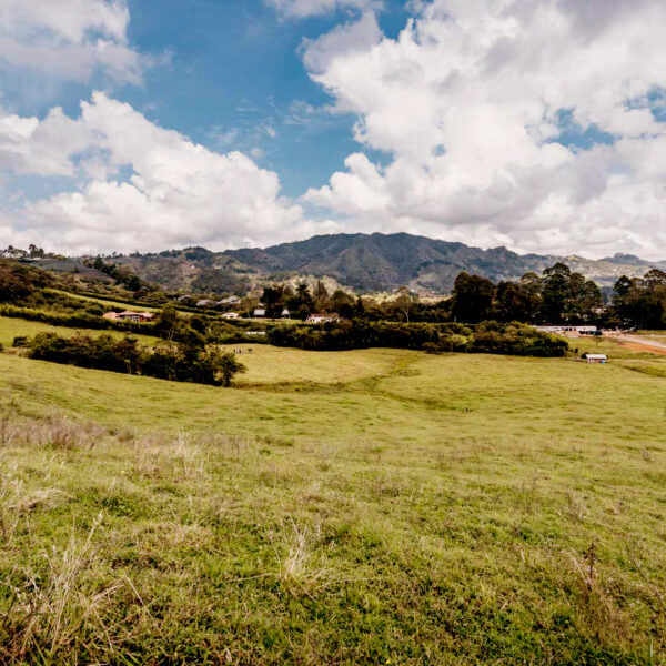 MPR - LA CEJA 1.314M2