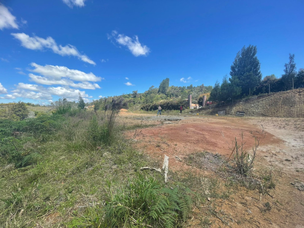 LOTE-SAN-VICENTE (3)