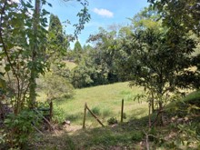 Imagen3
