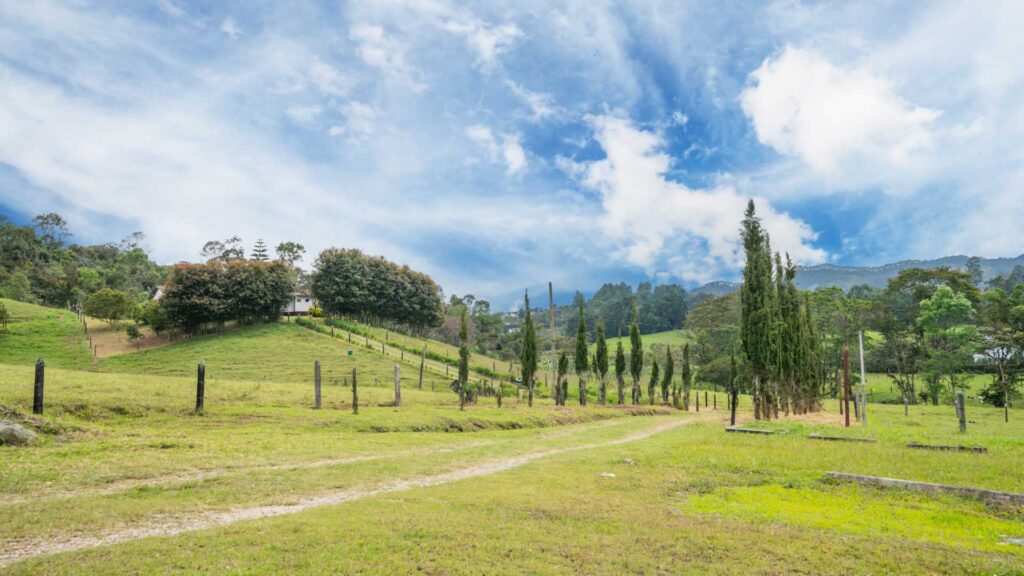 Verde-morena-lotes-en-llanogrande-antioquia-3_0