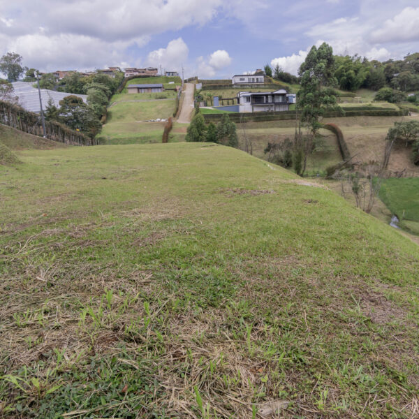 MPR- EL CARMEN DE VIBORAL 2.552m2