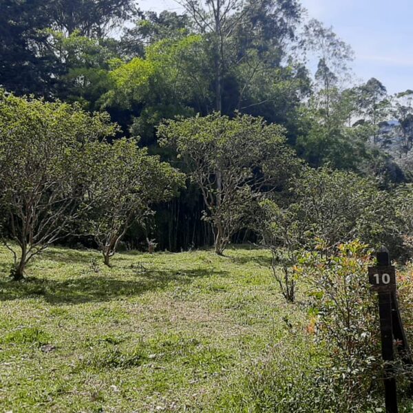 MPR - MARINILLA 6.400M2