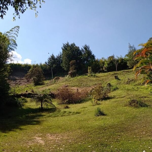 MPR - RIONEGRO 17.718M2