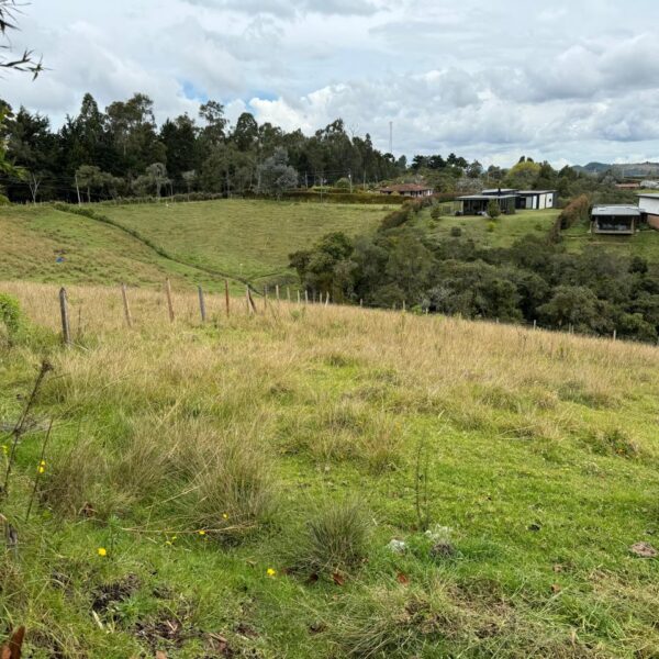 MPR - ALTO DE LAS PALMAS 2.649m2