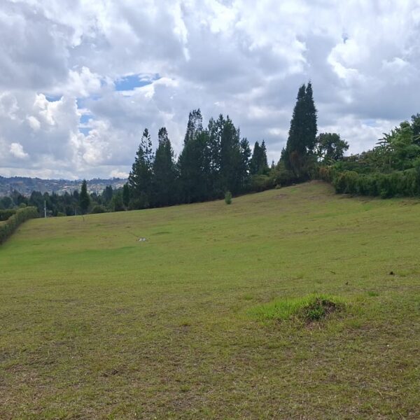 GUARNE 2.600M2